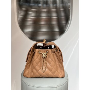 샤넬 25 스몰 호보 체인백 AS5293