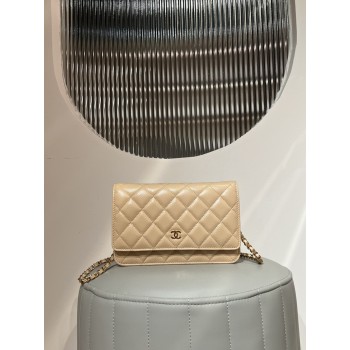 샤넬 클래식 퀼팅 WOC 체인 숄더 크로스백 AP0250