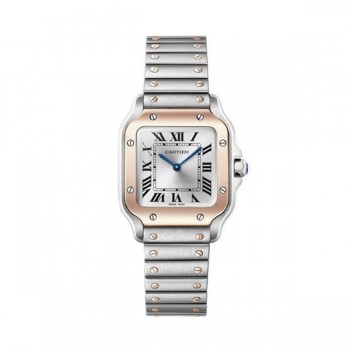 까르띠에 산토스 27MM WSSA0082 (AF)