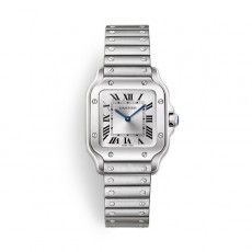 까르띠에 산토스 27MM WSSA0082 (AF)