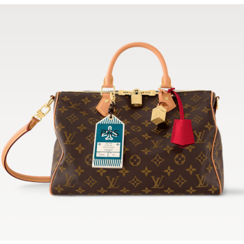 루이비통 M11945 스피디 소프트 30 크래프티 모노그램 캔버스 보스턴백 (황벽공장)