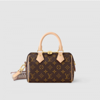 루이비통 스피디 반둘리에 20 크로스백 M46222 (황벽공장)